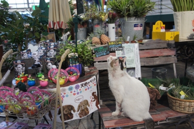 DSC02211.JPG
