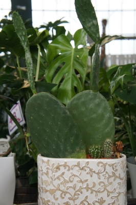 2013-09-02 14.45.20.jpg