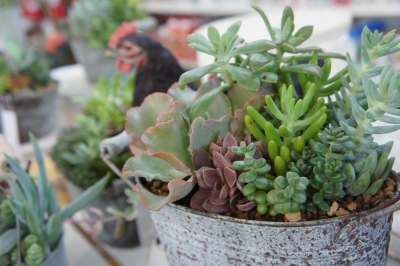 2013-09-02 14.46.54.jpg