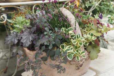 2013-09-18 13.57.49.jpg
