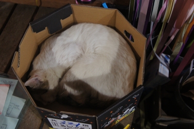 2013-09-19 21.29.46.jpg