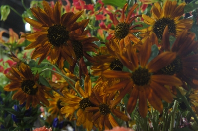2013-09-19 21.33.41.jpg