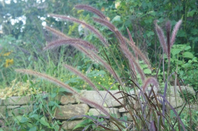 2013-09-20 16.56.45.jpg