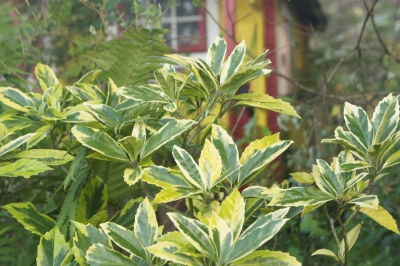 2013-09-20 16.57.35.jpg