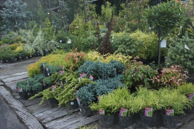 2013-09-21 17.44.24.jpg