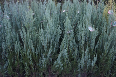 2013-09-21 17.48.39.jpg