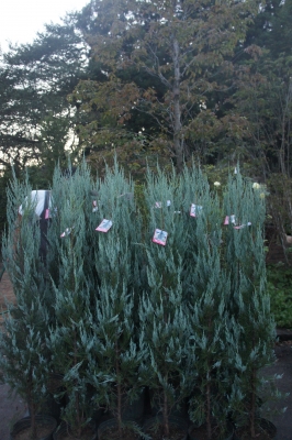 2013-09-21 17.49.39.jpg
