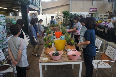 DSC02804.JPG