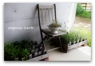 organic herb
