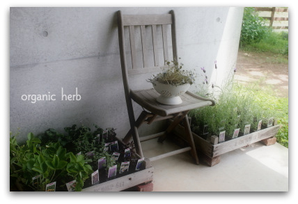 organic herb