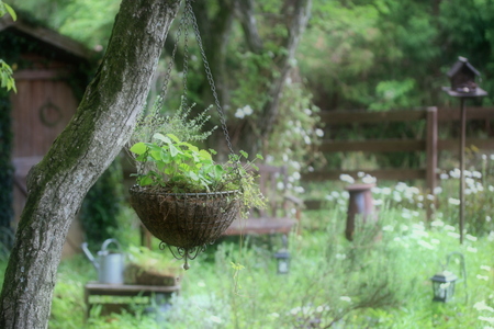 Secret garden