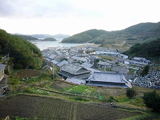 蕨