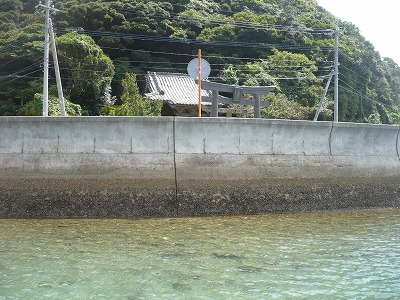 現在の田ノ浦神社