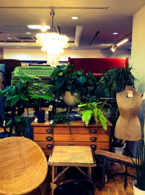 観葉植物 プランタースタンド ラタンチェア