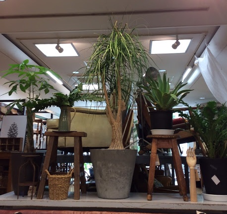 観葉植物 スツール 花台 アレンジ