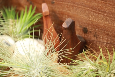 ¥¨¥¢¥×¥é¥ó¥Ä¡¡¥¢¥Ë¥Þ¥ë¥ª¥Ö¥¸¥§¡¡WOOD