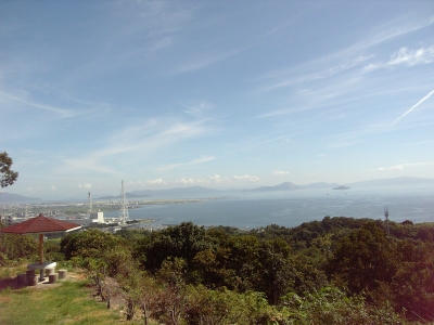 海