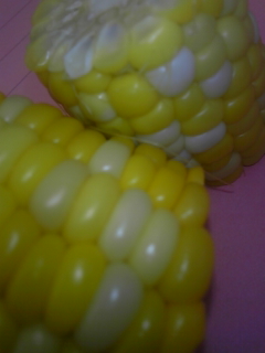 DVC00314.jpg