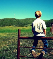 fence