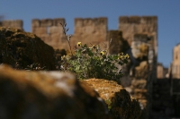 JERUSALEM