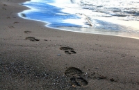 footprints