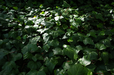 R0000247.JPG