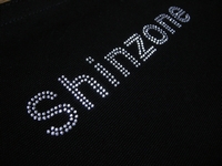 shinzone2