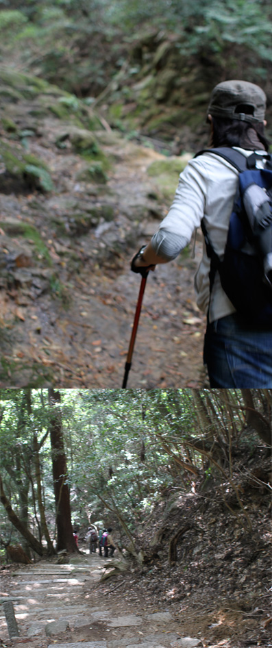 摩耶山トレッキング2012