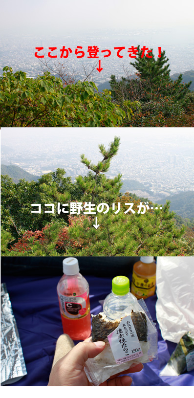 摩耶山トレッキング2012