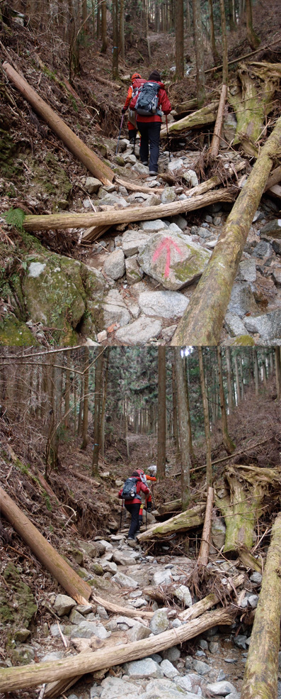 2013 金剛山 カトラ谷