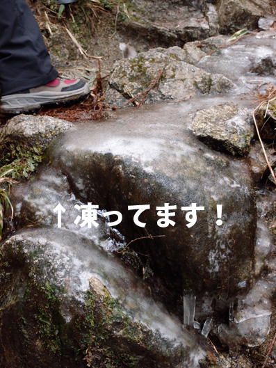 2013 金剛山 カトラ谷