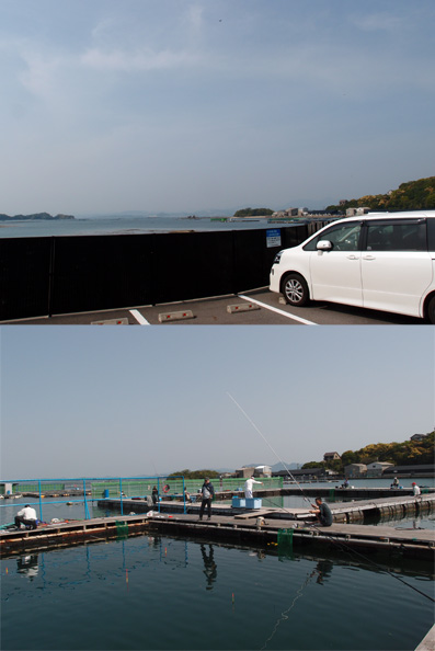 海上釣り堀 白浜
