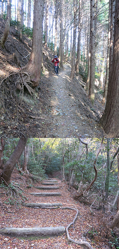 2013 箕面の滝 紅葉