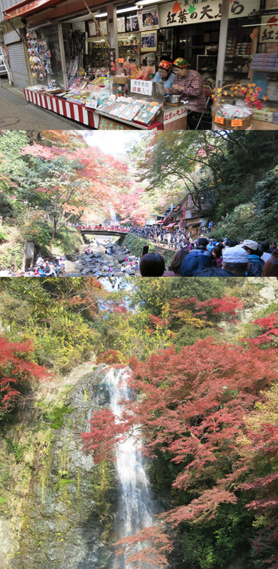 2013 箕面の滝 紅葉