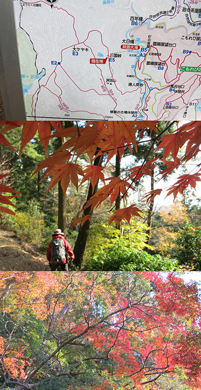 2013 箕面の滝 紅葉