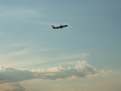 JAL日本航空日航B777?