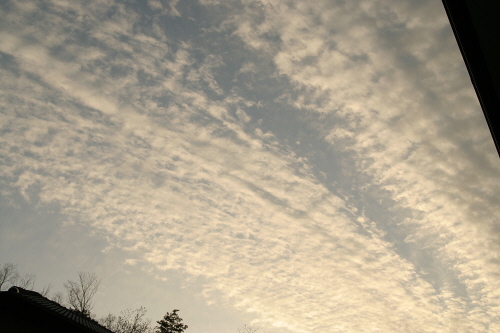 今日の空模様今日の雲