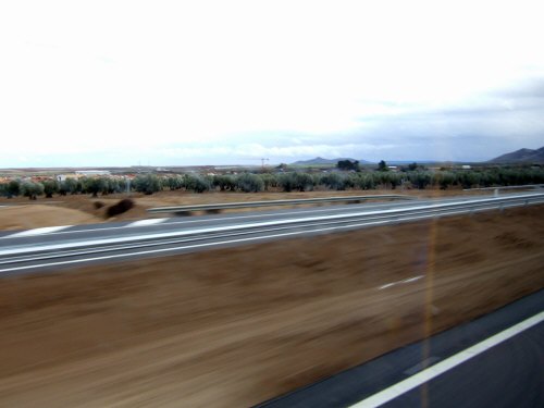世界遺産トレド(世界自然遺産)Toledoトレドからラマンチャ地方・コンスエグラへ。高速道路の脇はオリーブの木オリーブ畑が広がる。コエンスグラとかコンエスグラではなくコンスエグラ