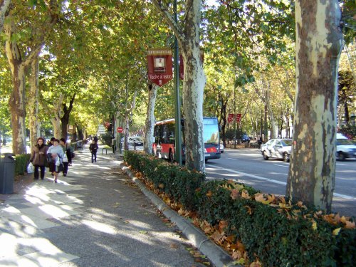 Espana España(エスパーニャ)SPAIN MADRIDマドリッドマドリードプラド美術館周辺プラド通りPaseo del Prado