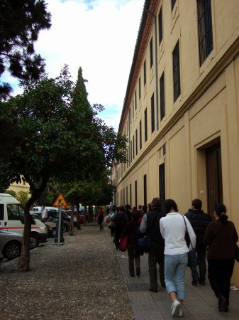 Espana España(エスパーニャ)SPAIN 世界遺産コルドバcordobaコルドバアルカサル通りアルカサルアルカサールAlcazarアンダルシア地方オレンジ並木