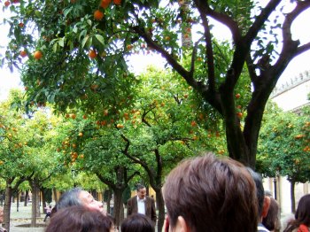 Espana España(エスパーニャ)SPAIN 世界遺産コルドバcordobaコルドバアルカサル通りアルカサルアルカサールAlcazarアンダルシア地方メスキータトリホス通りC.Torijosメスキータオレンジの中庭