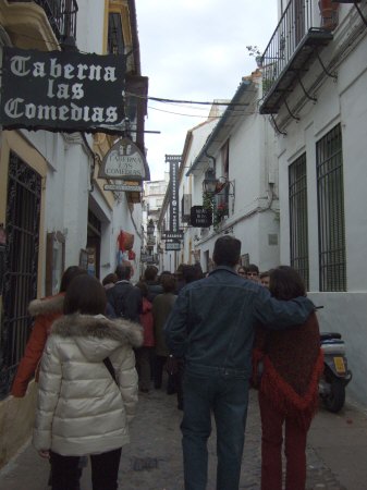 España(エスパーニャ)SPAIN 世界遺産コルドバcordobaコルドバユダヤ人街と花の小径花の小道花の小路