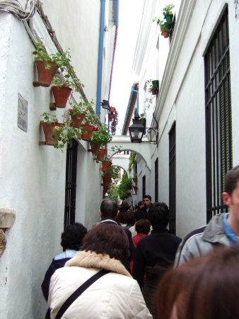 España(エスパーニャ)SPAIN 世界遺産コルドバcordobaコルドバユダヤ人街と花の小径花の小道花の小路La Juderiay Calleja de las Flores