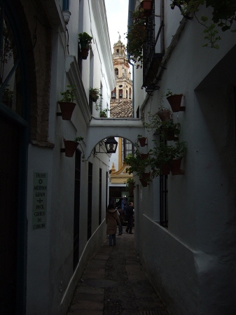España(エスパーニャ)SPAIN 世界遺産コルドバcordobaコルドバユダヤ人街と花の小径花の小道花の小路La Juderiay Calleja de las Flores