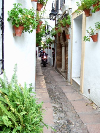 España(エスパーニャ)SPAIN 世界遺産コルドバcordobaコルドバユダヤ人街と花の小径花の小道花の小路La Juderiay Calleja de las Flores