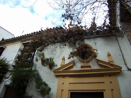 España(エスパーニャ)SPAIN 世界遺産コルドバcordobaコルドバユダヤ人街と花の小径花の小道花の小路La Juderiay Calleja de las Floresちょっとした広場中庭狭い路地を抜けると