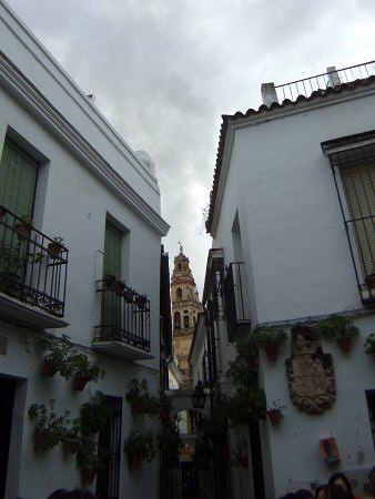 España(エスパーニャ)SPAIN 世界遺産コルドバcordobaコルドバユダヤ人街と花の小径花の小道花の小路La Juderiay Calleja de las Floresちょっとした広場中庭狭い路地を抜けると