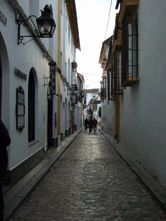 España(エスパーニャ)SPAIN 世界遺産コルドバcordobaコルドバユダヤ人街と花の小径花の小道花の小路La Juderiay Calleja de las Flores