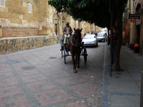 España(エスパーニャ)SPAIN コルドバcordobaコルドバメスキータトリホス通りC.Torijos