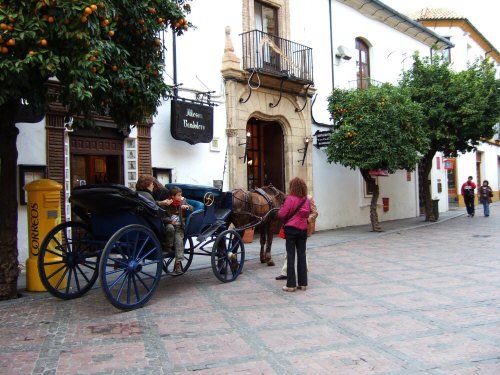 España(エスパーニャ)SPAIN コルドバcordobaコルドバメスキータトリホス通りC.Torijos観光馬車スペインコルドバの風景